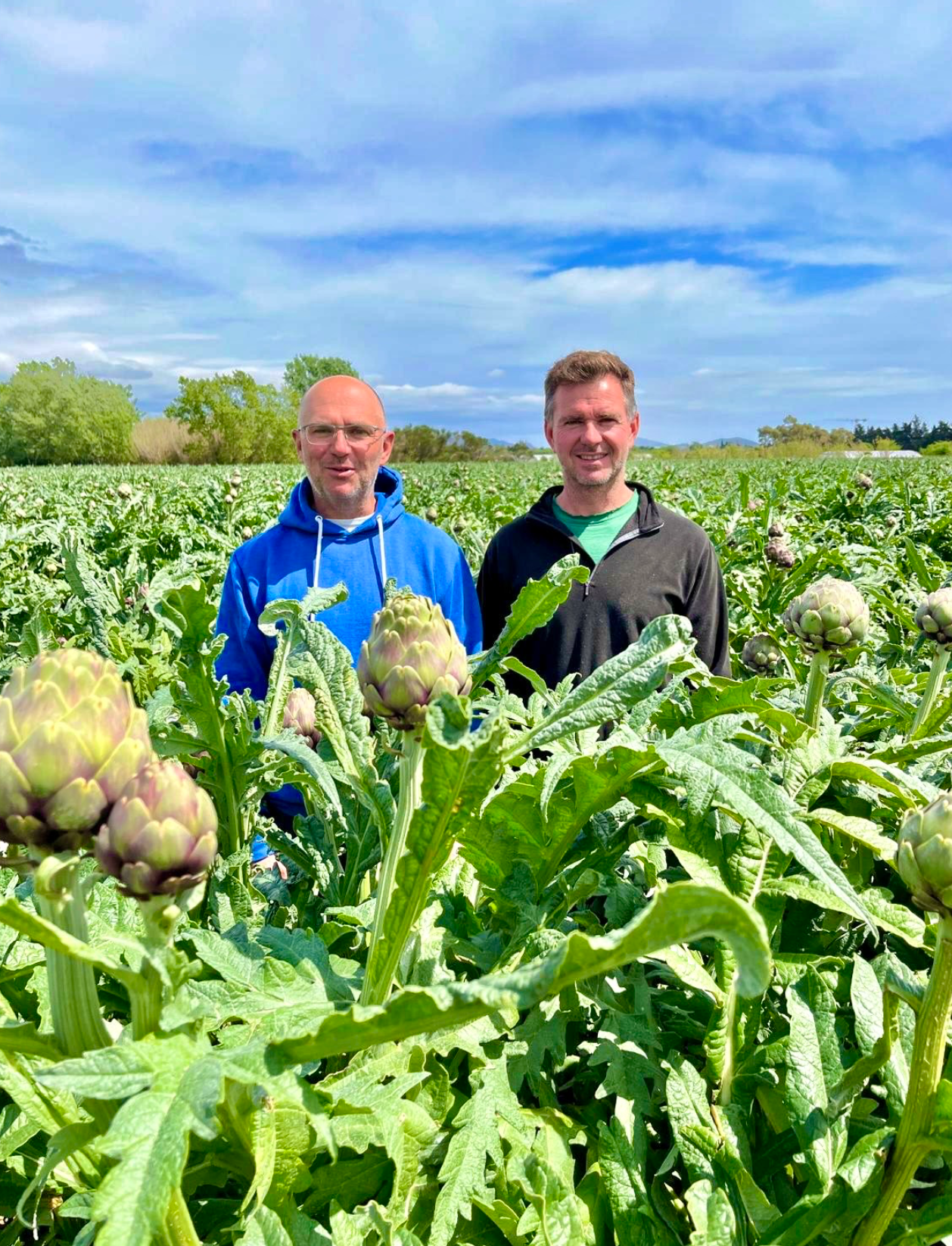 Ferme Vazzotti – maraîcher fruits et légumes à Fréjus