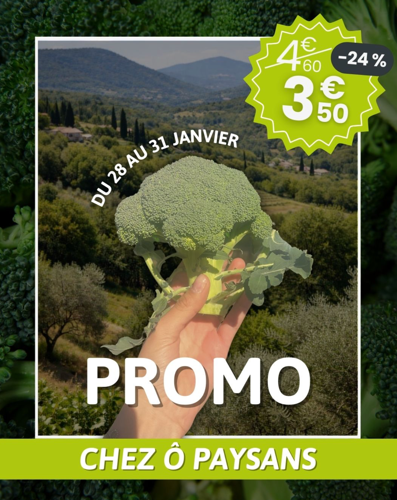 Fruits et légumes de saison chez Ô Paysans Puget-sur-Argens