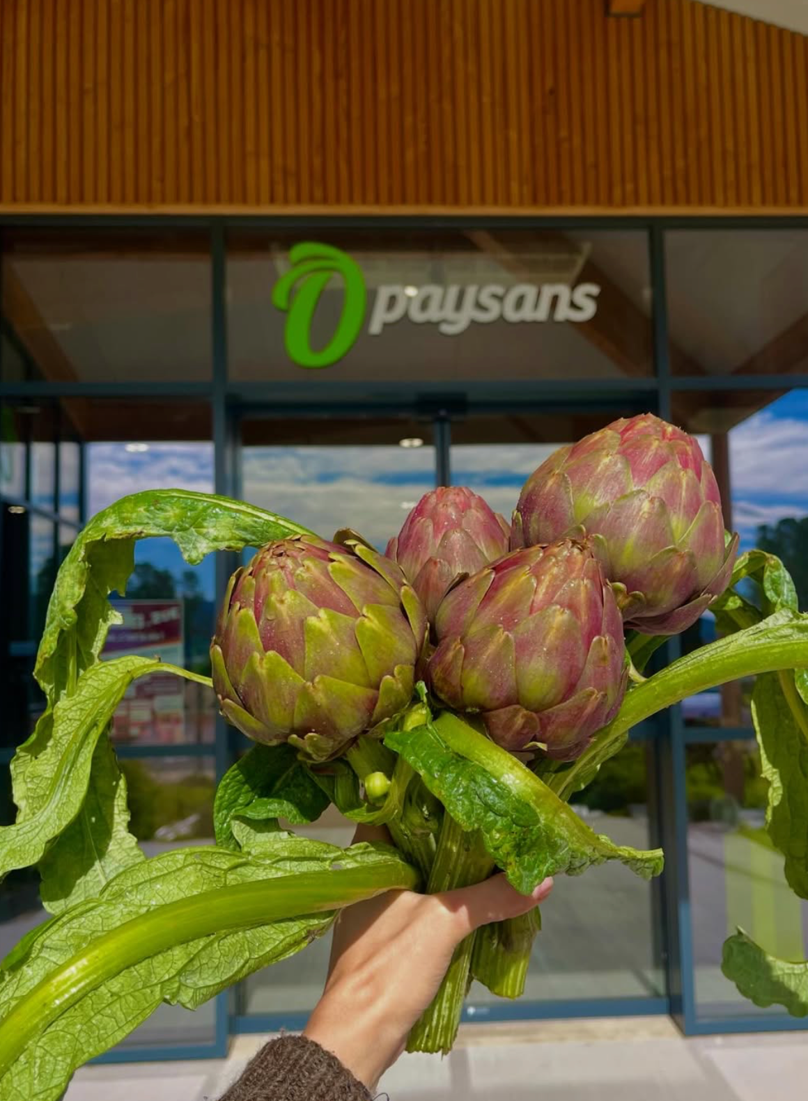 Intérieur du magasin Ô Paysans – produits locaux frais